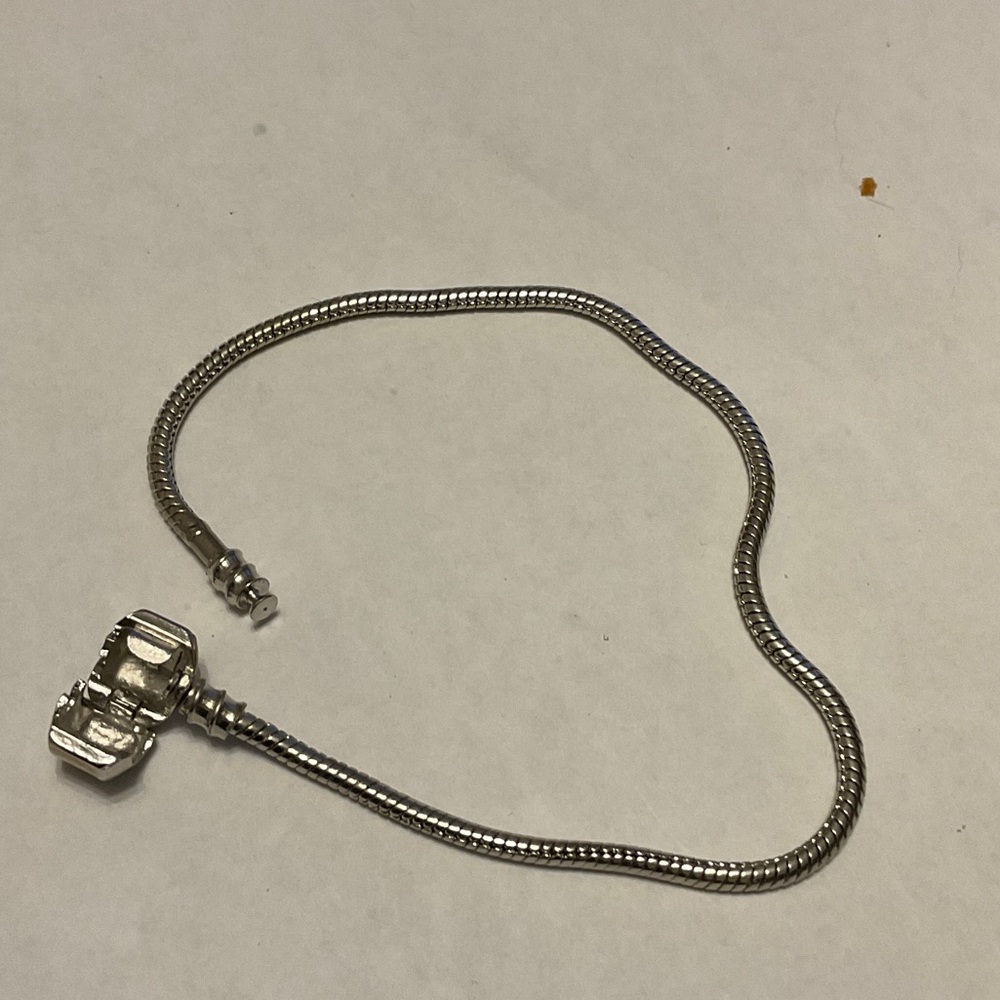 Silver Snake Chain Bracelet